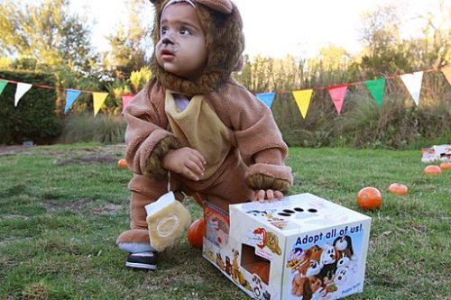 Toddler in Halloween Costume for Pumpkin Patch event