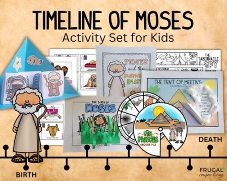 Old Testament Moses life timeline crafts